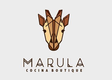 desarrollo de logos en Aruba