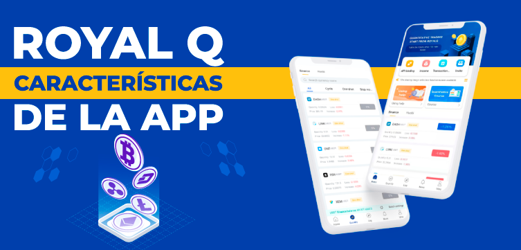 Cómo configurar royal q y cómo funciona