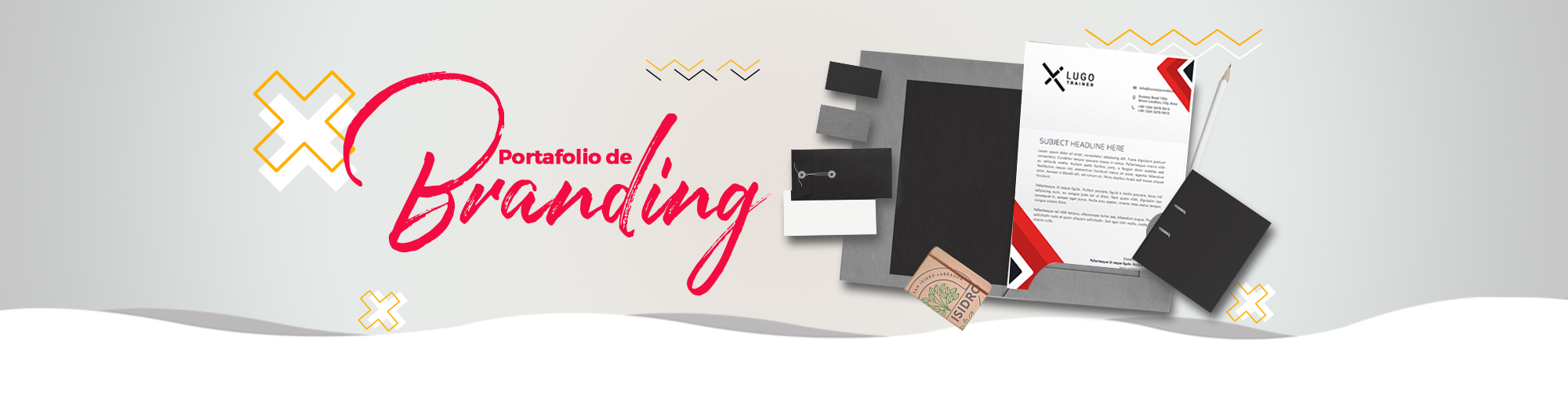 portafolio diseño de branding