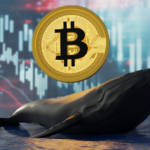 misteriosa-desaparicion-donde-estan-las-ballenas-de-bitcoin